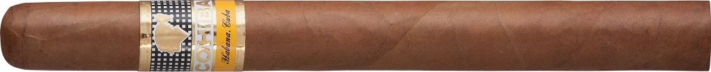 Cohiba Siglo V