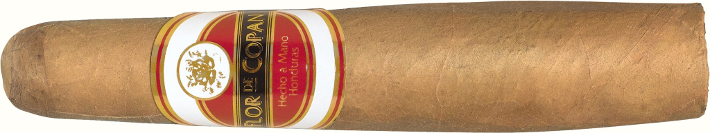 Flor de Copan Gordito (Torbusto)